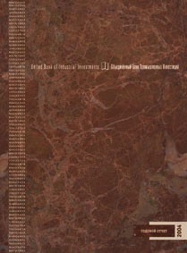 Годовой отчет 2004 ОБПИ